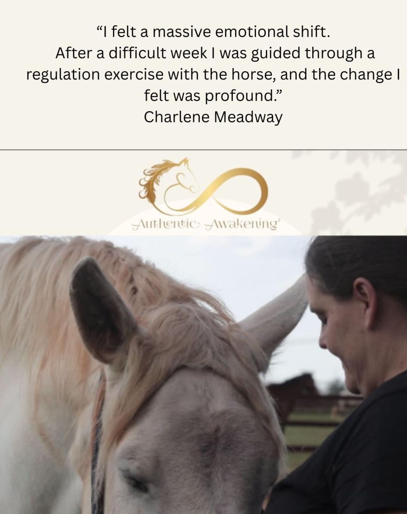 Course Testimonials -