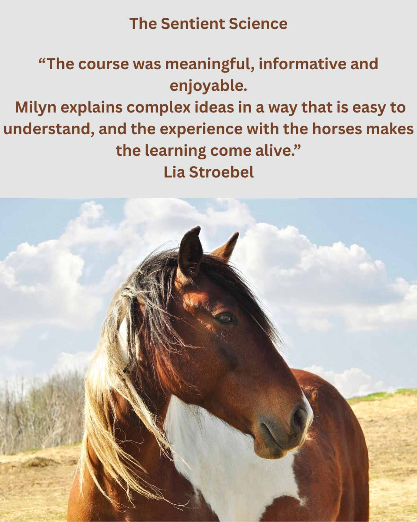 Course Testimonials -