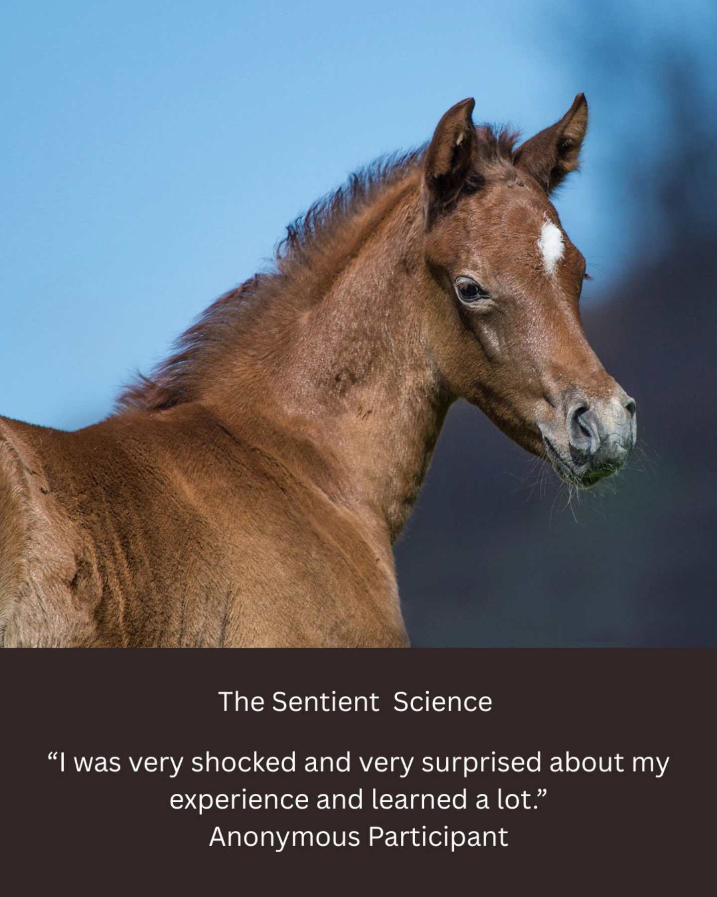 Course Testimonials -