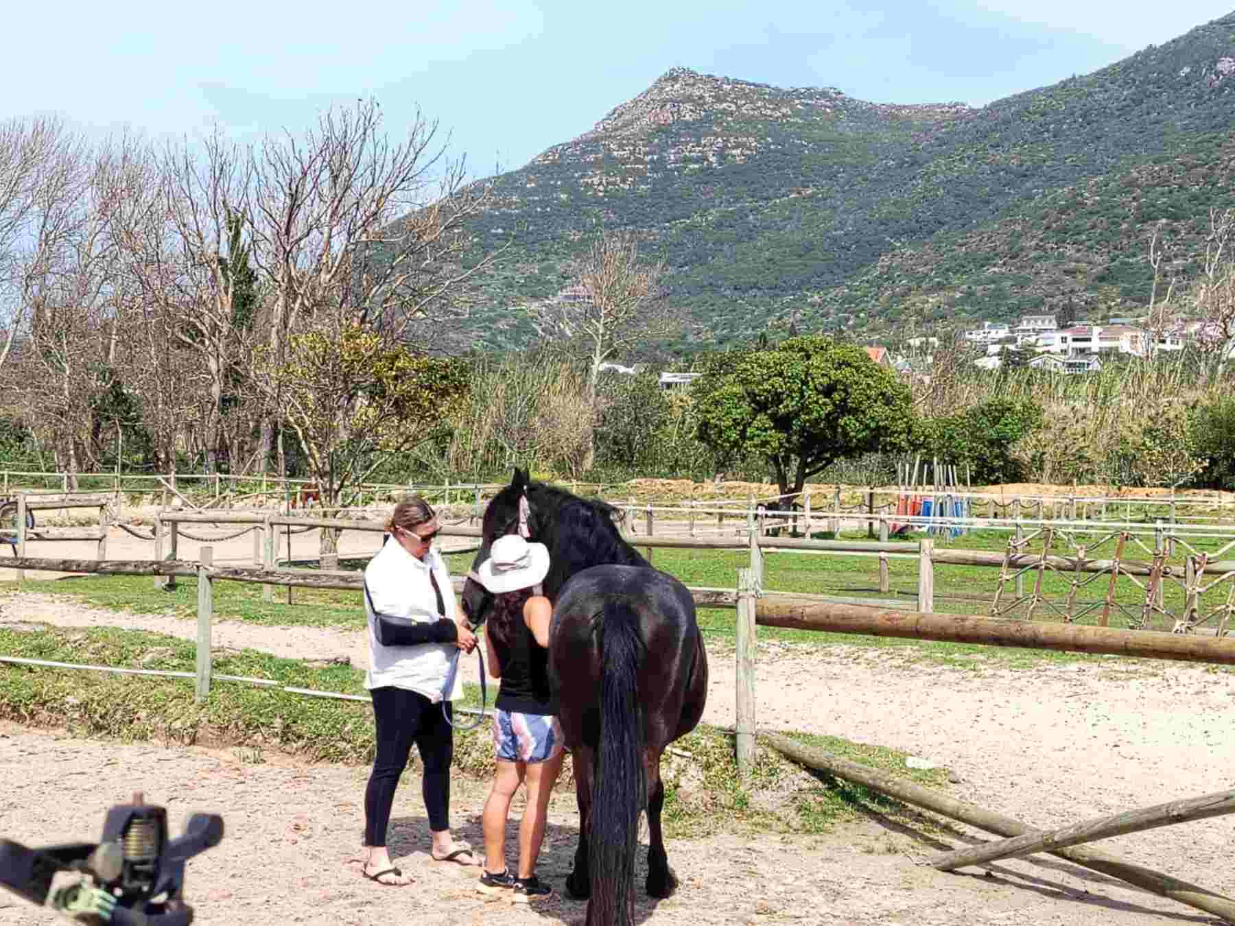Course Testimonials -